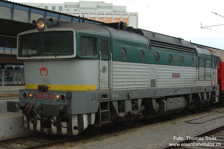 Slowakische Taucherbrille
