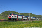RDN 175a