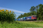 TG6 039a