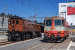 UD7-038a