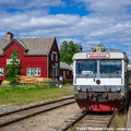 ZBFN-006a
