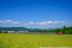ZCE1-067a