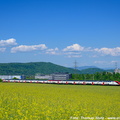 ZCE1-069a
