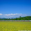 ZCE1-071a